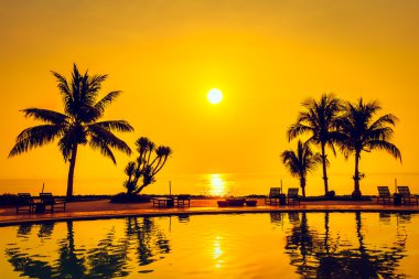 Hindistan cevizi hurma ağaçlarının Silhouettes