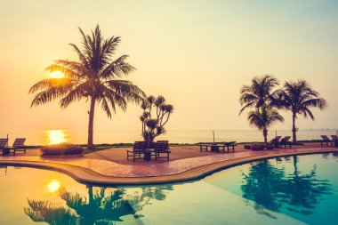 Hindistan cevizi hurma ağaçlarının Silhouettes