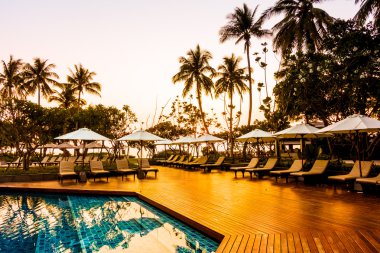 Hindistan cevizi hurma ağaçlarının Silhouettes