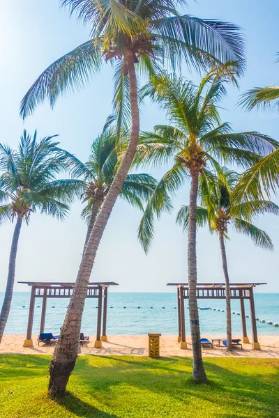 Beautiful beach and sea with palm trees