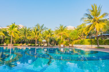 palmiye ağaçları ve Deniz Yüzme Havuzu