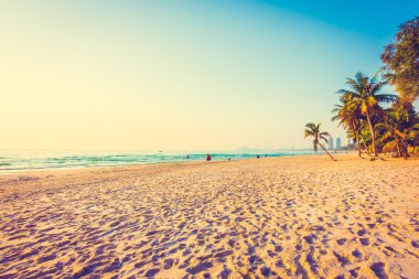 Hindistan cevizi hurma ağaçlarının Silhouettes