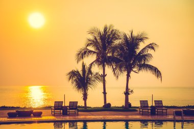 Hindistan cevizi hurma ağaçlarının Silhouettes