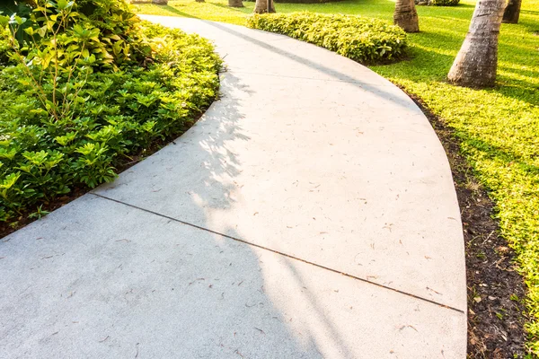 Stone path way in garden — Stock Photo, Image
