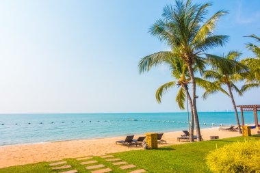 Güzel plaj ve palmiye ağaçları ile