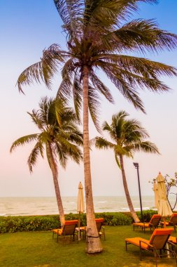 Boş şemsiye ve plaj sandalye