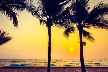 Gün batımı ile palmiye ağaçlarının Silhouettes