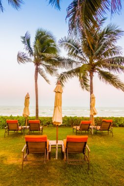 Boş şemsiye ve plaj sandalye