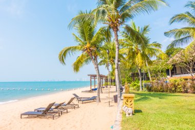 Güzel plaj ve palmiye ağaçları ile