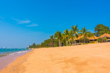 Güzel plaj ve palmiye ağaçları ile