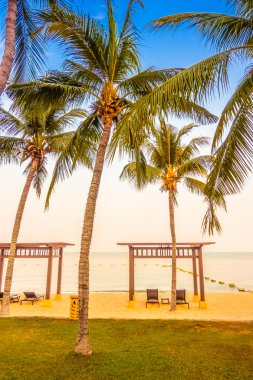 Güzel plaj ve palmiye ağaçları ile