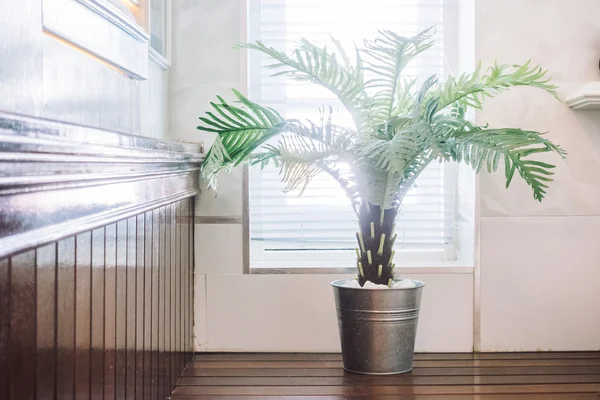 Vaso de decoração de plantas no quarto — Fotografia de Stock