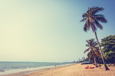 Sahildeki palmiye ağaçları