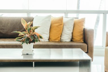 Güzel lüks yastıklar Divan