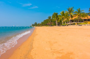Güzel plaj ve palmiye ağaçları ile