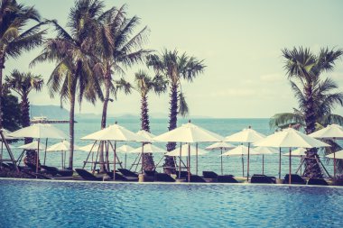 Şemsiyeleri ve sandalyeler Yüzme Havuzu etrafında