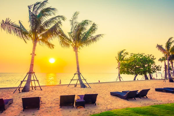 Palm trees on beach — Stock Photo, Image