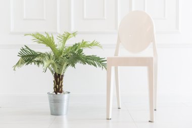 Vazo bitki ile boş sandalye