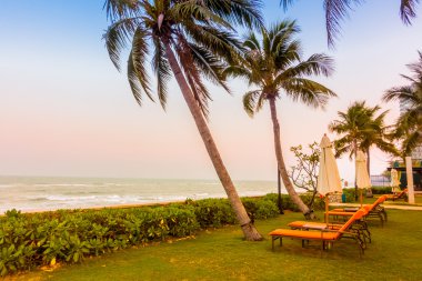 Boş şemsiye ve plaj sandalye