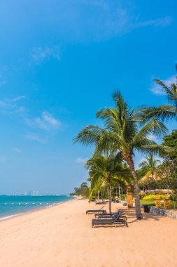 Güzel plaj ve palmiye ağaçları ile