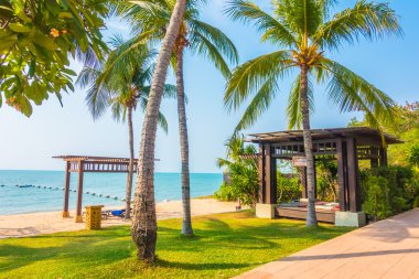 Güzel plaj ve palmiye ağaçları ile