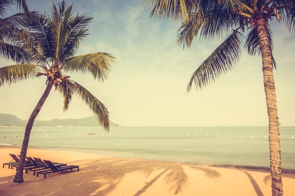 Gyönyörű tengerpart és a tenger pálmafákkal — Stock Fotó