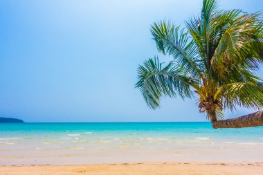Güzel tropikal deniz ve kum plaj