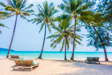 Güzel tropikal deniz ve kum plaj