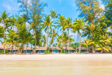 Güzel tropikal deniz ve kum plaj