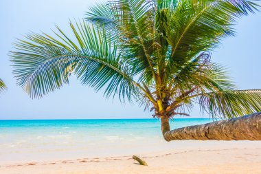 Güzel tropikal deniz ve kum plaj