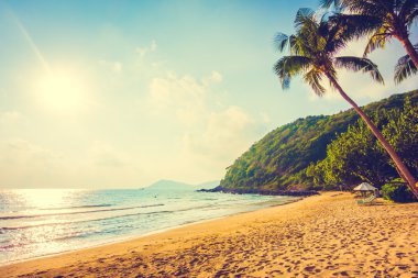Güzel tropikal plaj ve deniz