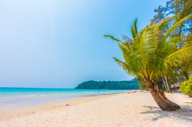 Güzel tropikal deniz ve kum plaj