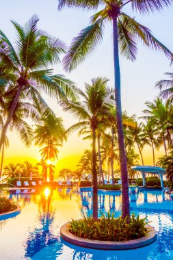 Güzel lüks açık şemsiye ve sandalyeler