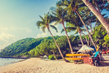 Güzel tropikal plaj ve deniz