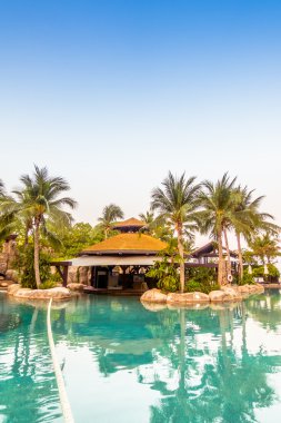 lüks Yüzme Havuzu Peyzaj