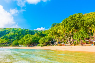 Güzel tropikal plaj ve deniz