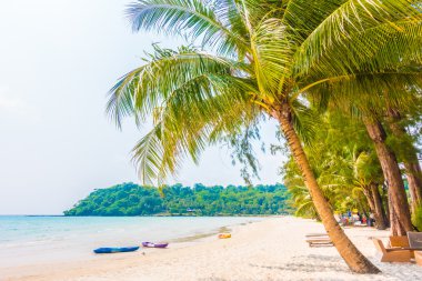 Güzel tropikal deniz ve kum plaj