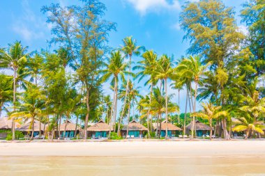 Güzel tropikal deniz ve kum plaj