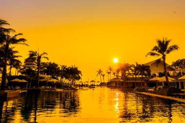 Güzel siluet palmiye ağacı