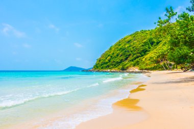 Güzel tropikal plaj ve deniz