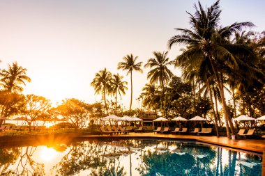 Hindistan cevizi hurma ağaçlarının Silhouettes