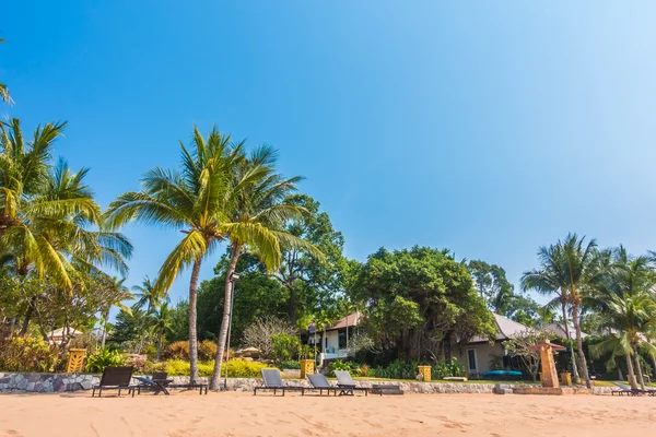 Mooi strand en zee met palmboom — Stockfoto