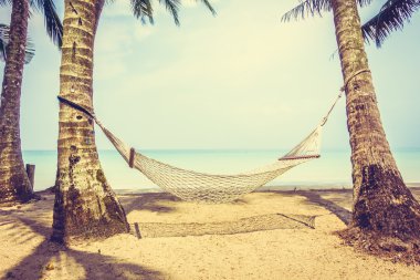 Boş hamak güzel tropik sahilde