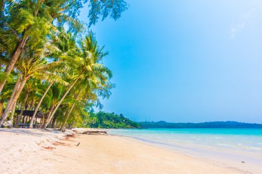 Güzel tropikal deniz ve kum plaj