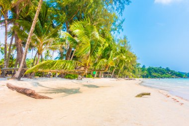 Güzel tropikal deniz ve kum plaj