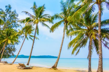 güzel tropik okyanus