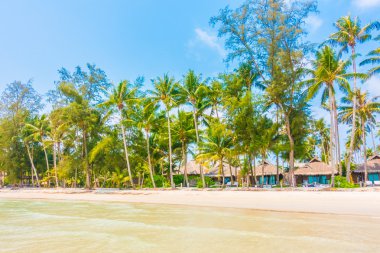 Güzel tropikal deniz ve kum plaj