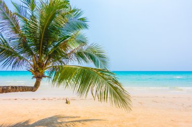 Güzel tropikal deniz ve kum plaj