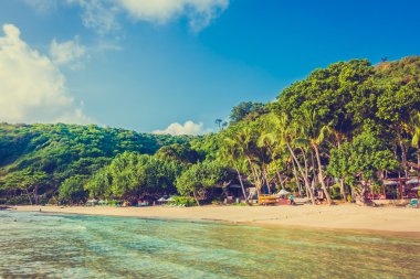 Güzel tropikal plaj ve deniz