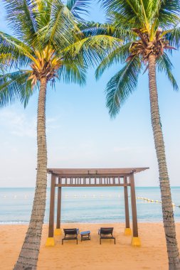 Güzel bir plaj ve deniz ile palmiye ağacı